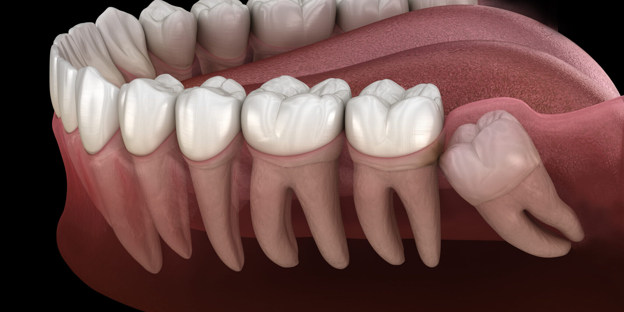 oral-and-maxillofacial-scaled-2048x1024